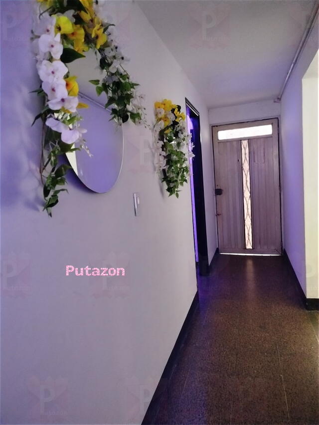 Photo #3