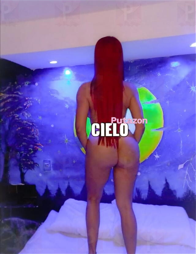 Photo #11