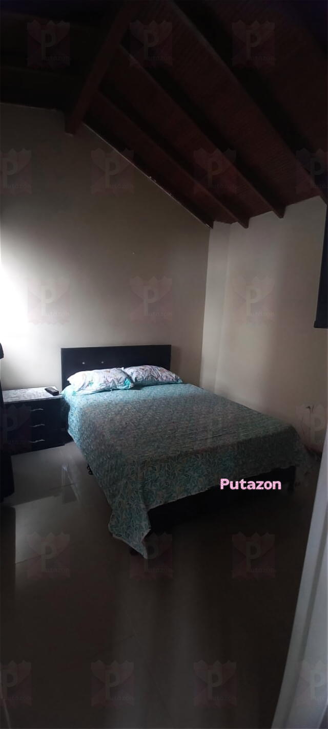 Photo #7