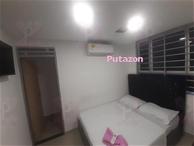 Photo #6
