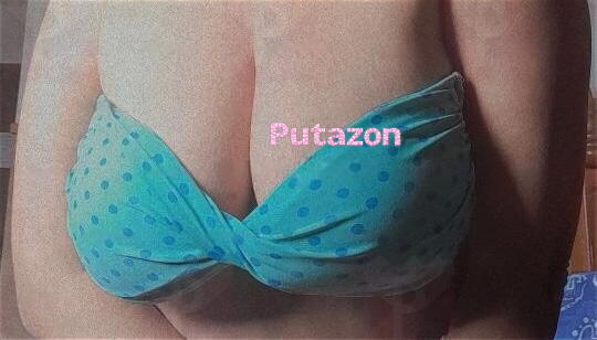Photo #14